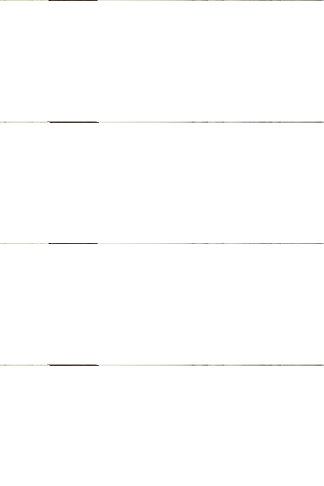 Productafbeelding 4